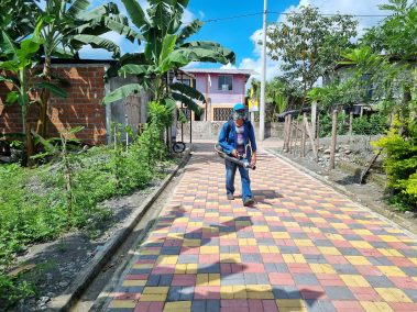 Brigada del municipio fumiga Río Viejo para controlar mosquitos en Marcelino Maridueña